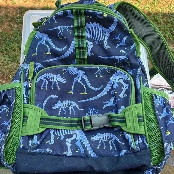 Kids dinosaur backpack elementary school - Picture 1 of 3